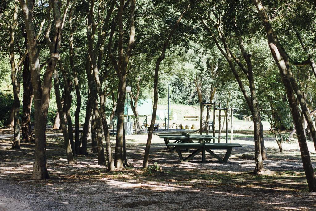 Camping Le Bois Fleuri Argeles-sur-Mer Ngoại thất bức ảnh
