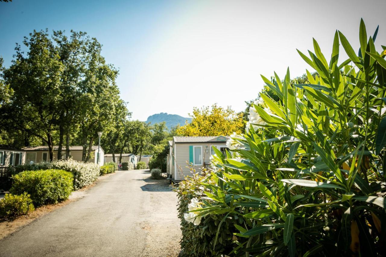 Camping Le Bois Fleuri Argeles-sur-Mer Ngoại thất bức ảnh